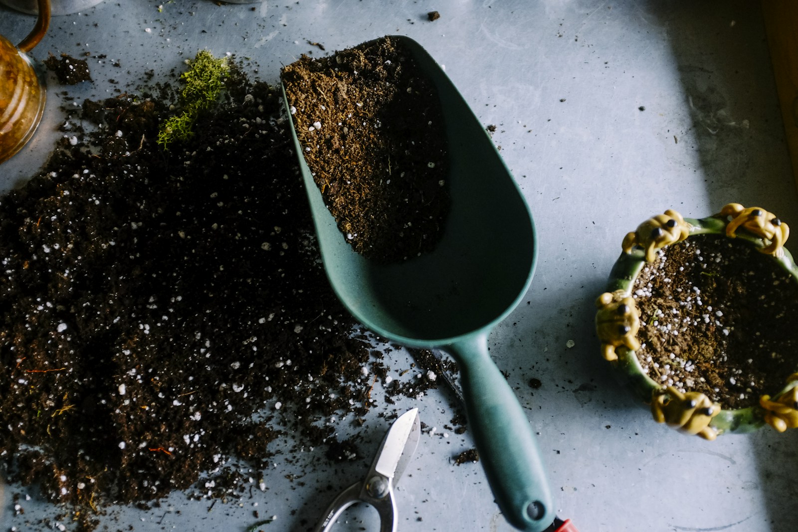 Outils de jardinage et terreau